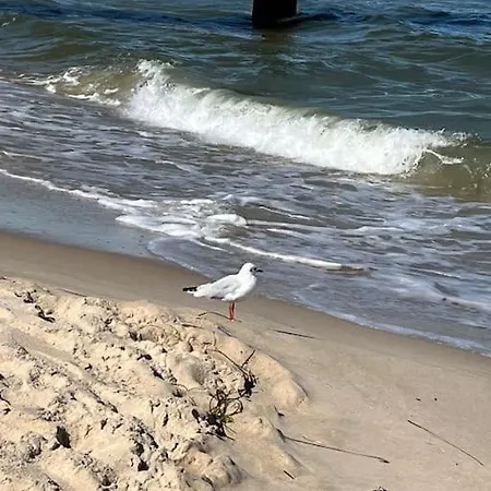 Tatil Evi Haus Jahns - 1 Haus, 4 - Erholung Pur