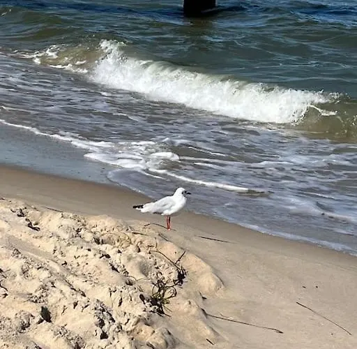 Casa de Férias Haus Jahns - 1 Haus, 4 - Erholung Pur